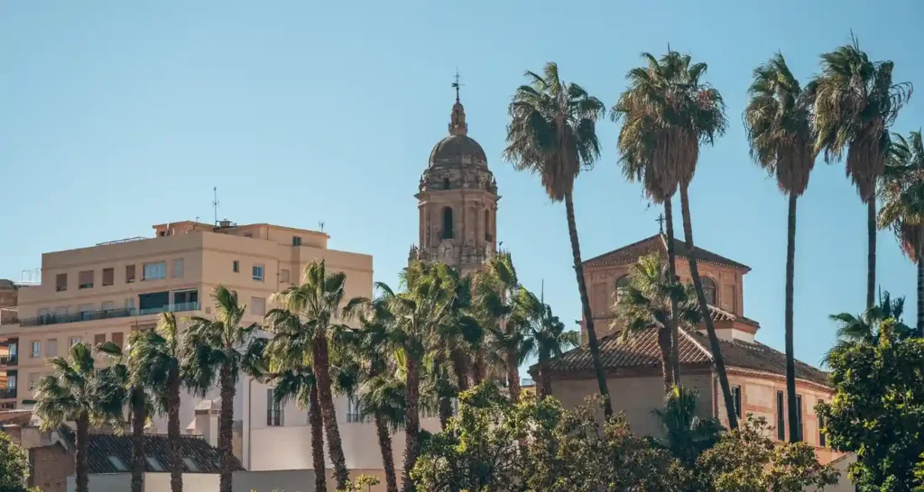 Vista urbana con palmeras y arquitectura típica del centro de Málaga